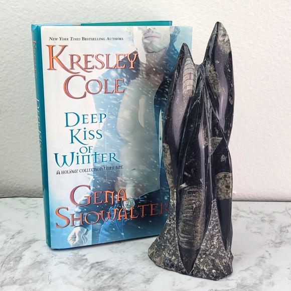 Orthoceras Fossil Home Decor Office Desk Bookend Display Black Gray Accent - Picture 2 of 16